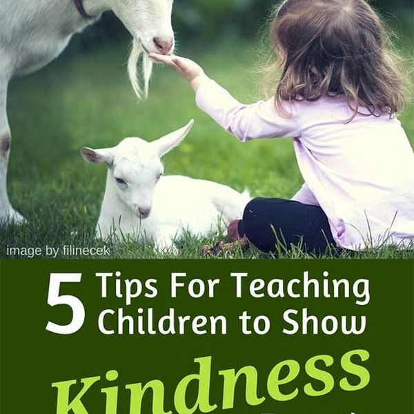 Kindness Towards Animals Essay Examples
