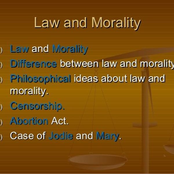 Law And Morality Essay Examples