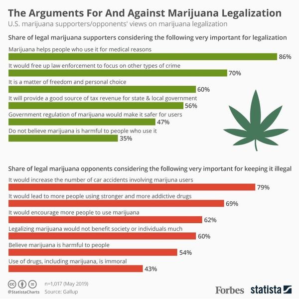 Legalization Of Cannabis Essay Examples