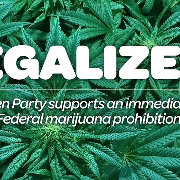 Legalizing Weed Essay Examples