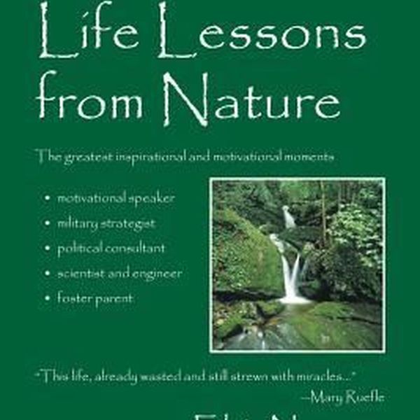 Lessons From Nature Essay Examples