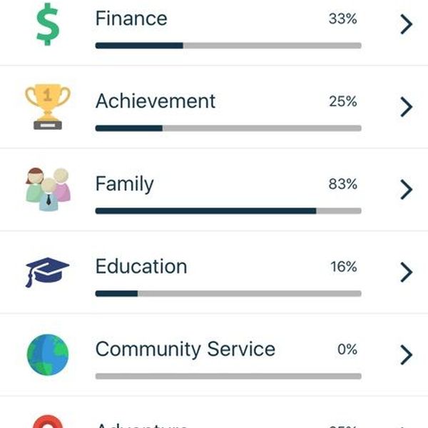 Life Goals And Achievements Essay Examples