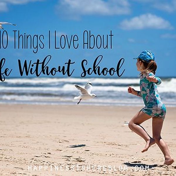 Life Without School Essay Examples