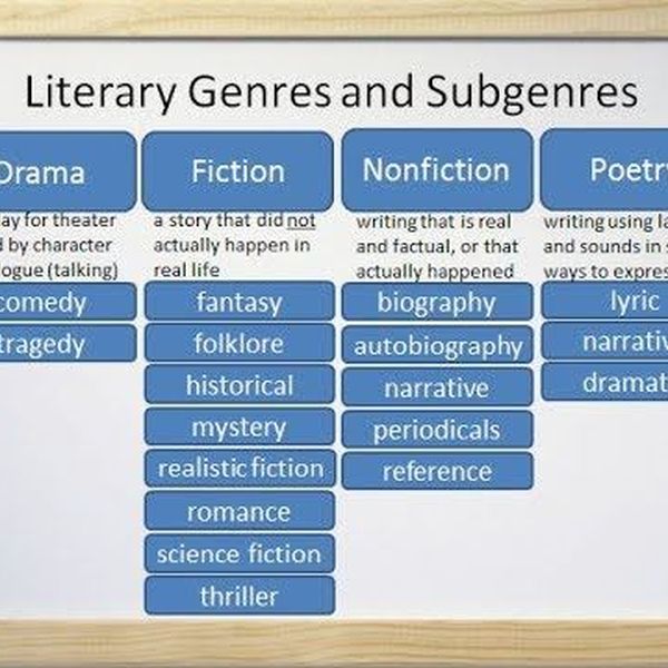 Literary Genre Essay Examples