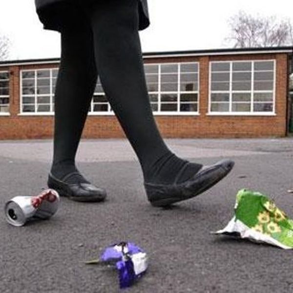 Littering At School Essay Examples