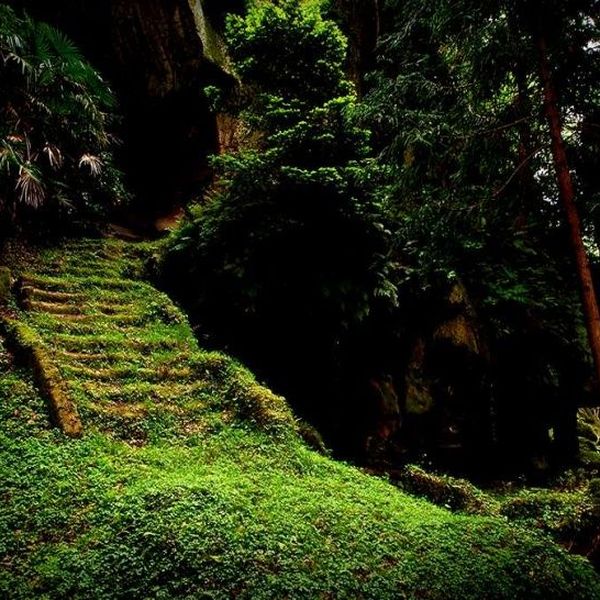 Living With Nature Essay Examples