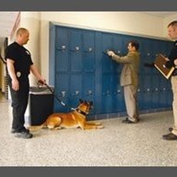 Locker Searches Essay Examples