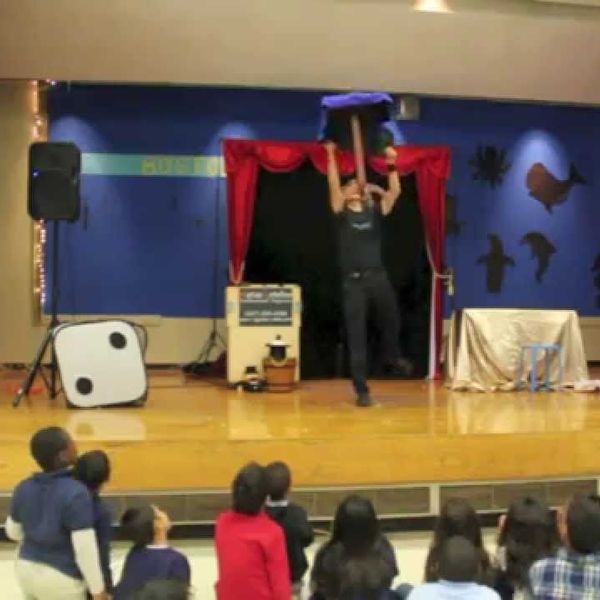 Magic Show In School Essay Examples