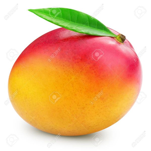 Mango Fruit Essay Examples