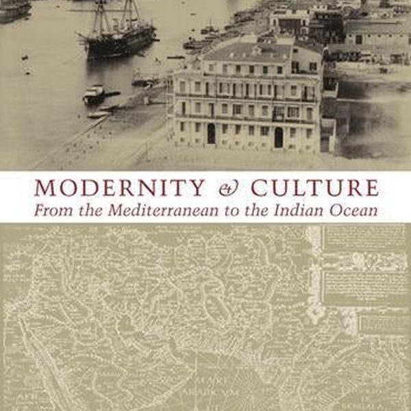 Modernity And Culture Essay Examples