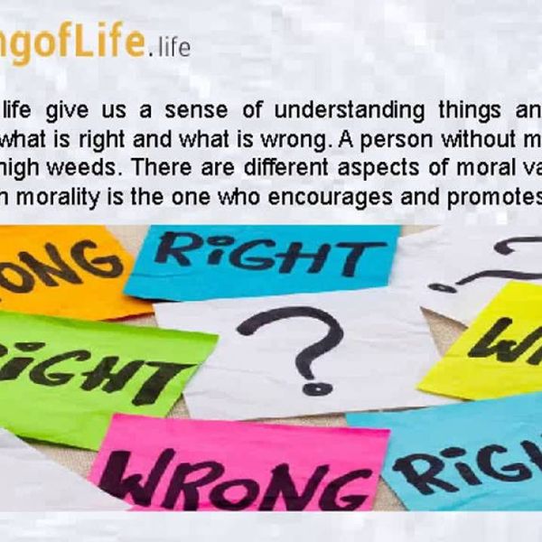 Moral Values In Life Essay Examples