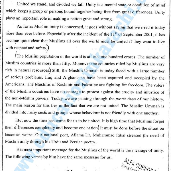 Muslim Unity In The World Essay Examples