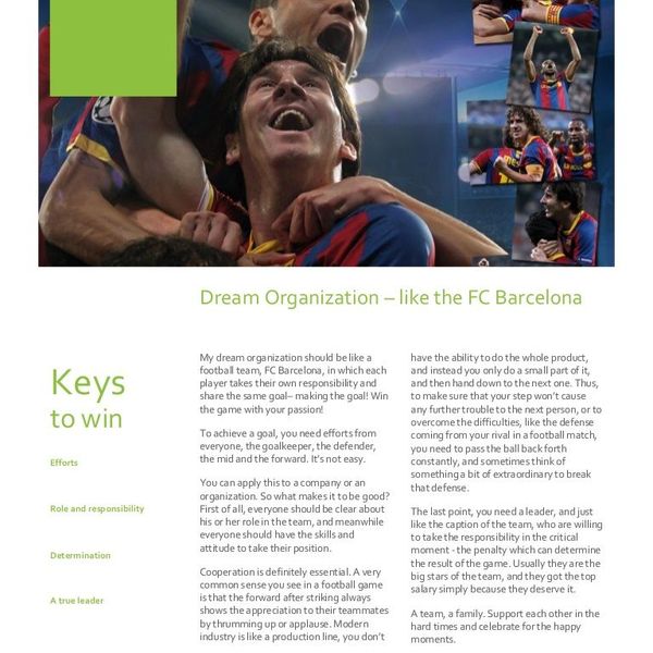 My Dream Organization Essay Examples