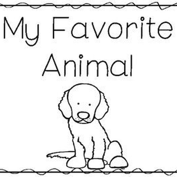 My Favorite Animal Essay Examples