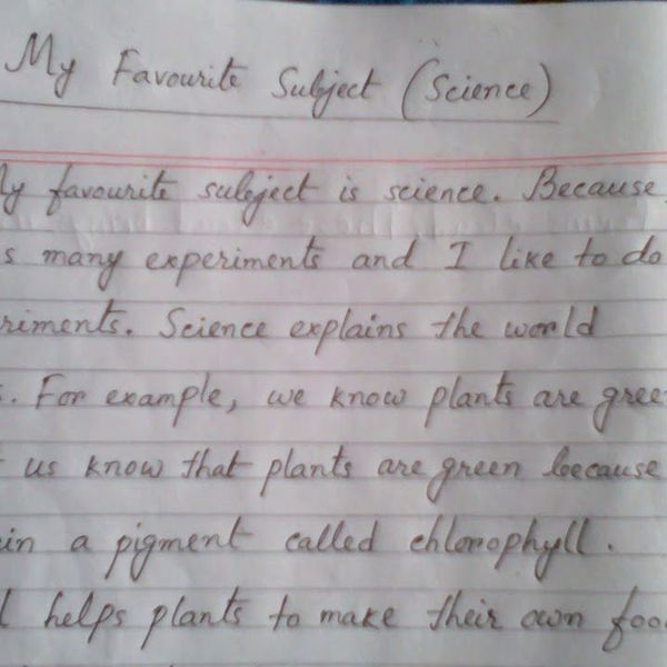 My Favorite Subject Science Essay Examples