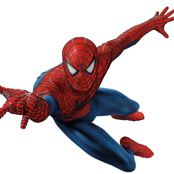 My Favourite Cartoon Character Spiderman Essay Examples
