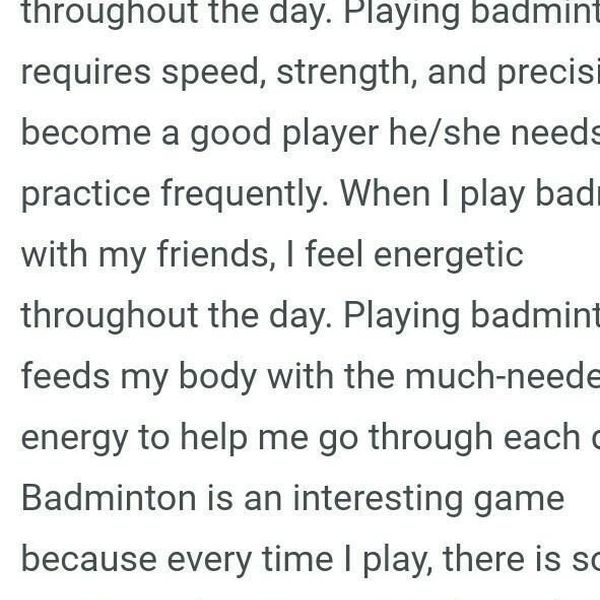 My Favourite Sports Badminton Essay Examples