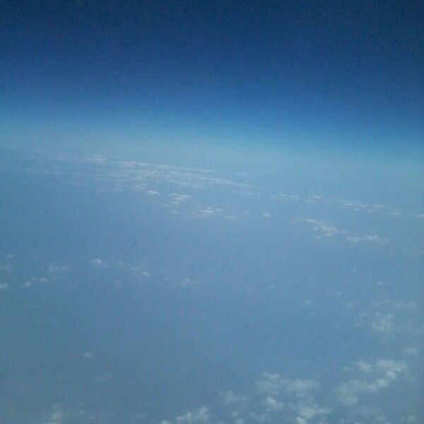 My First Journey By Plane Essay Examples