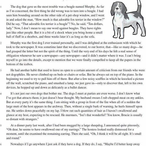 My Pet Animal Dog Essay Examples
