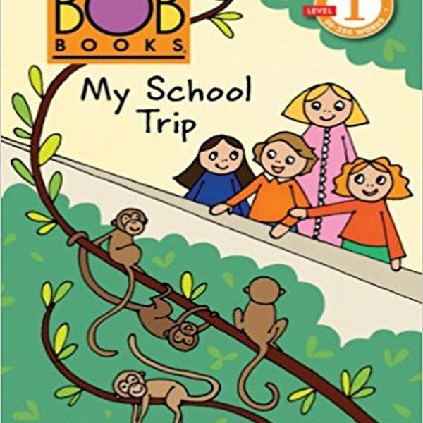 My School Trip Essay Examples
