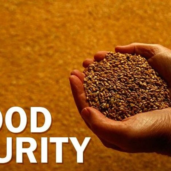 National Food Security Act Essay Examples