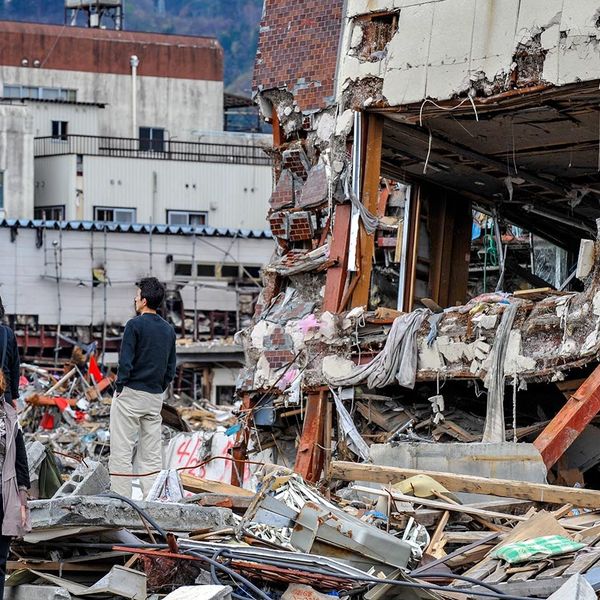 Natural Disasters And Its Effects Essay Examples