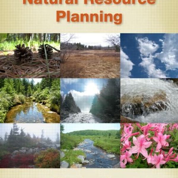Natural Resource Essay Examples