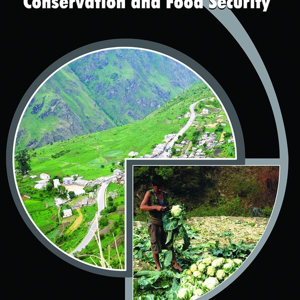 Natural Resources Conservation Essay Examples