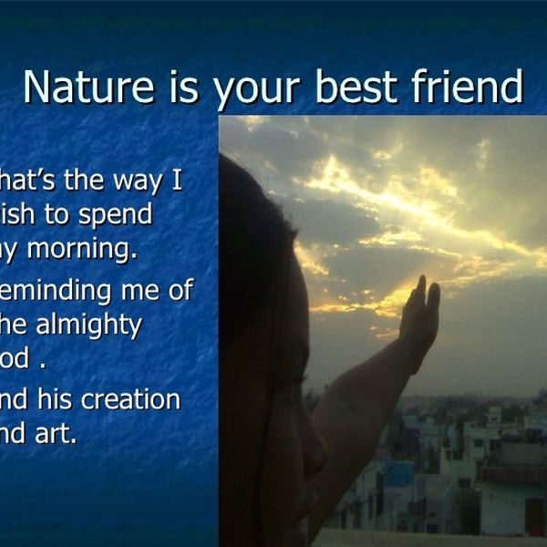 Nature Our Best Friend Essay Examples