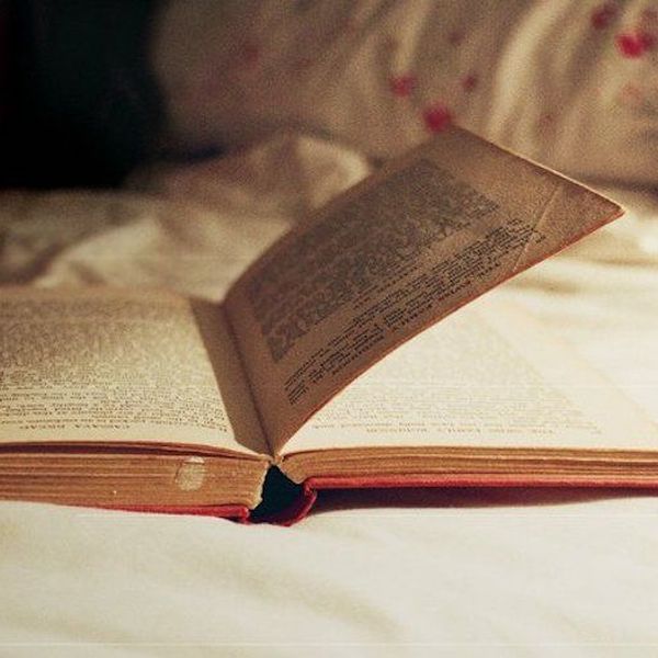 Novel Reading Essay Examples