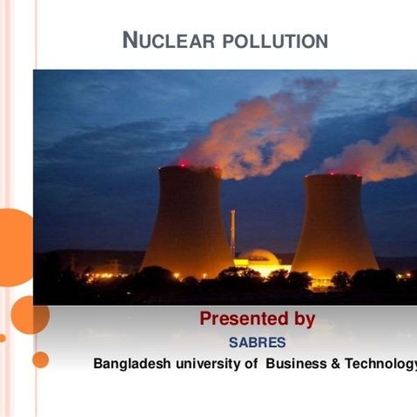 Nuclear Pollution Essay Examples