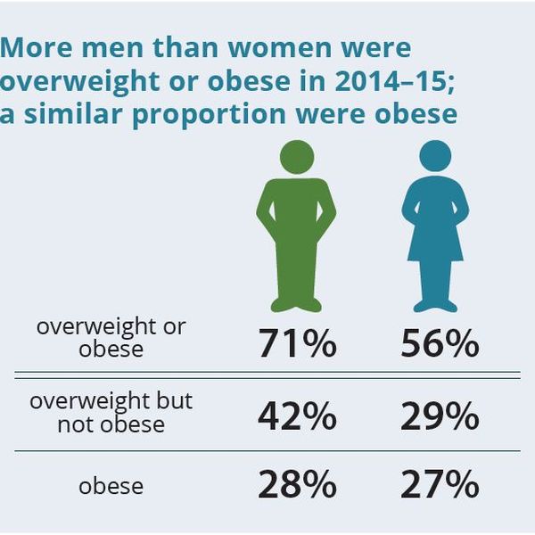 Obesity In Australia Essay Examples