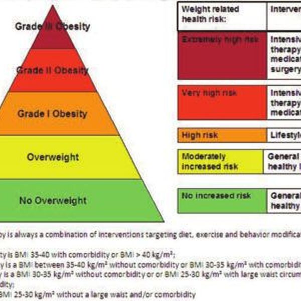 Obesity Management Essay Examples