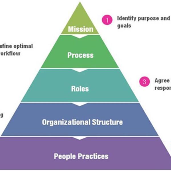 Organizational Structure And Design Essay Examples