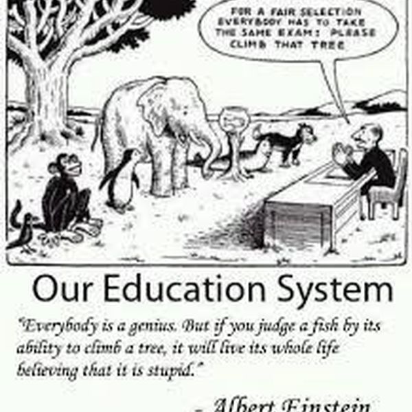 Our Education System Essay Examples