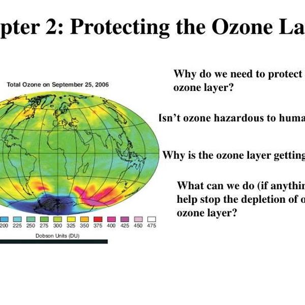 Ozone Layer Depletion And Protection Essay Examples