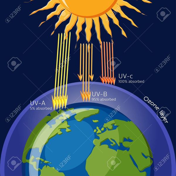 Ozone Layer Protection Essay Examples