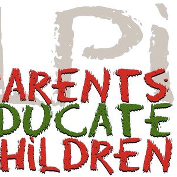 Parents A Priceless Possession Essay Examples
