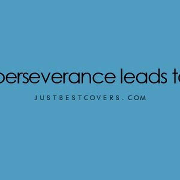 Perseverance Leads To Success Essay Examples