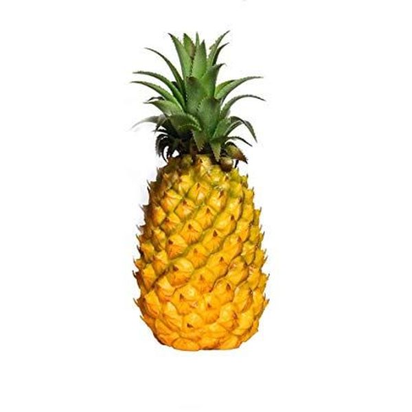 Pineapple Fruit Essay Examples