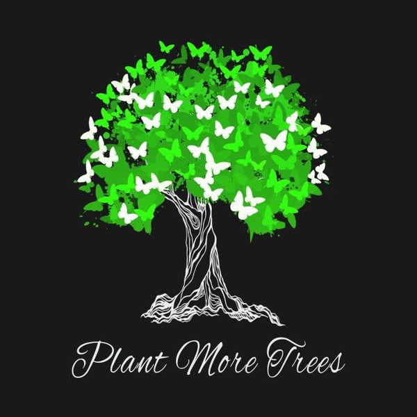 Plant More Trees Essay Examples