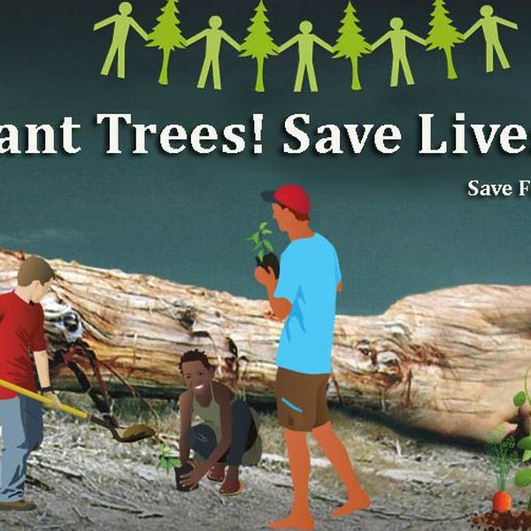 Plant Trees Save Life Essay Examples