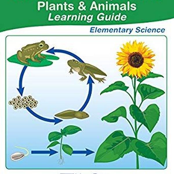 Plants And Animals Essay Examples