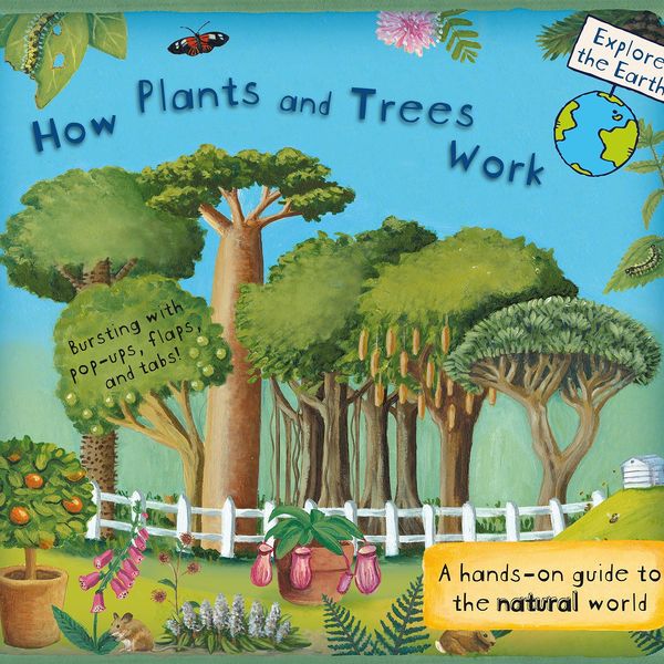 Plants And Trees Essay Examples