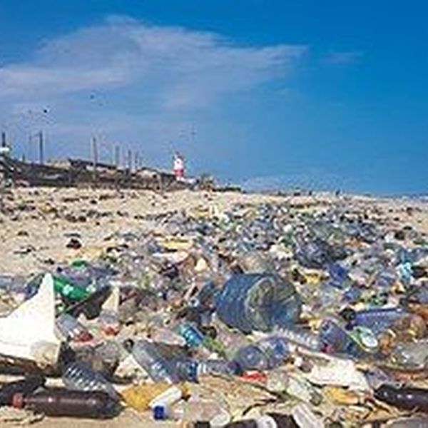 Plastic Pollution Essay Examples