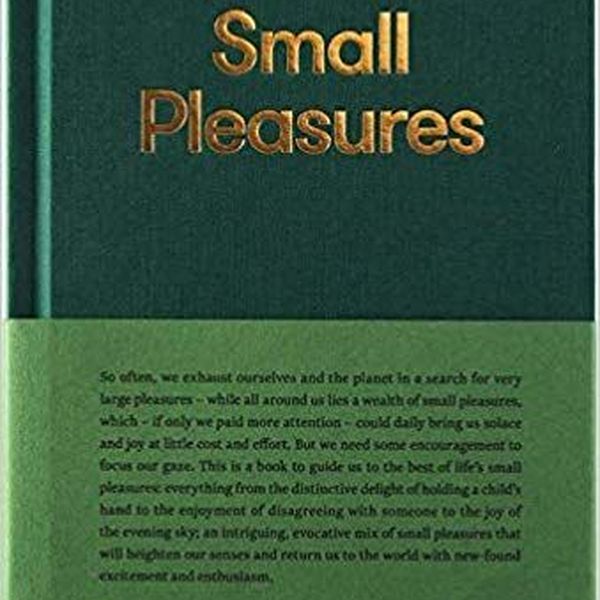 Pleasures Of School Life Essay Examples