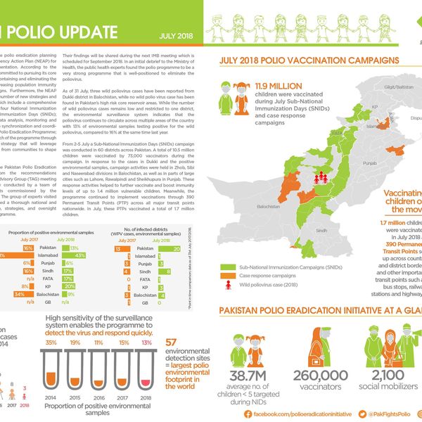 Polio In Pakistan Essay Examples