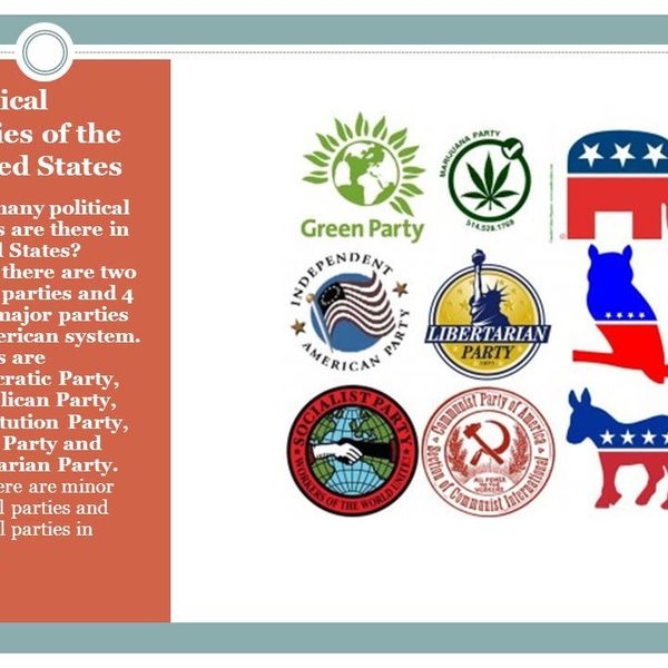Political Parties Of Usa Essay Examples