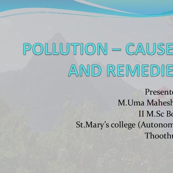 Pollution And Its Causes Essay Examples