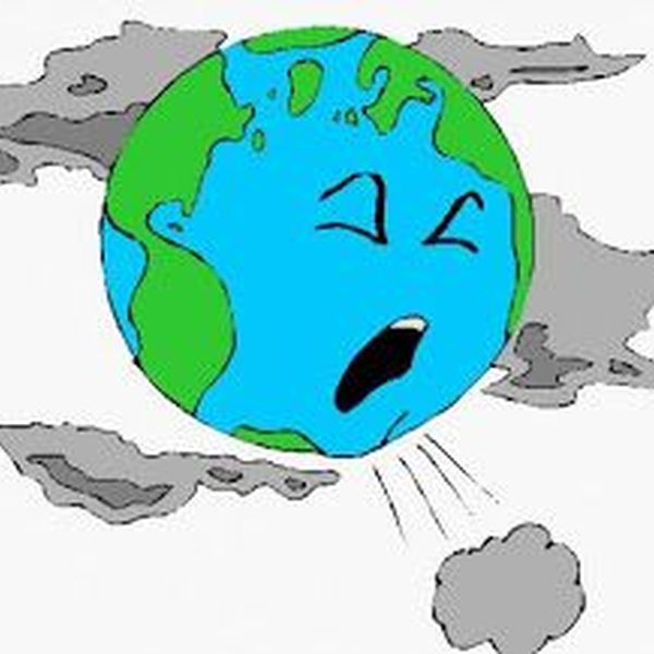 Pollution And Its Effects Essay Examples